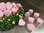 20 Holzperlen in Herzform Rosa